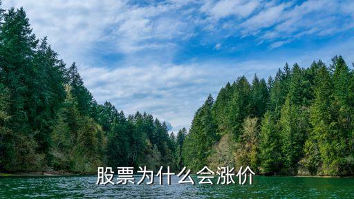 股票为什么会涨价