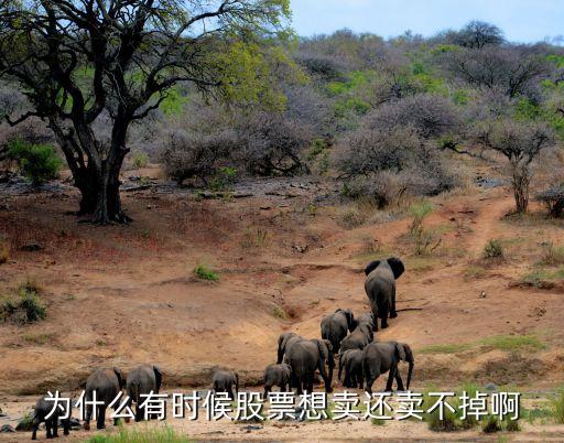 为什么有时候股票想卖还卖不掉啊