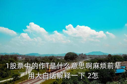 股票分时做t什么指标准，股票里做T是什么意思