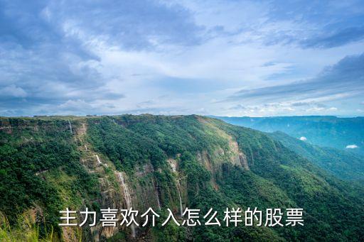 主力喜欢介入怎么样的股票