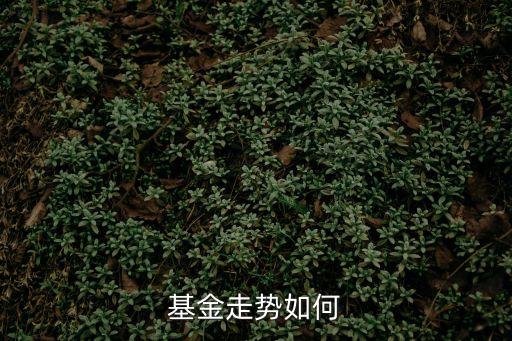 基金走势如何