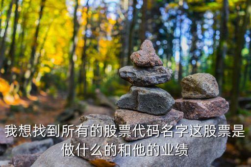 我想找到所有的股票代码名字这股票是做什么的和他的业绩