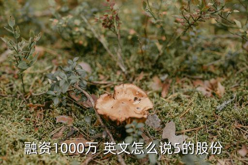 融资1000万 英文怎么说5的股份