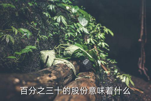 百分之三十的股份意味着什么