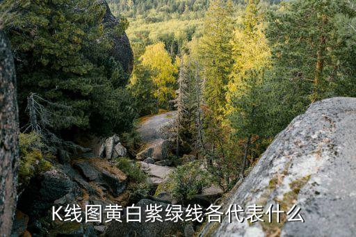 K线图黄白紫绿线各代表什么