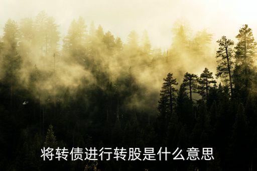 将转债进行转股是什么意思