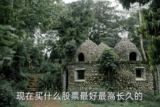 现在买什么股票最好最高长久的