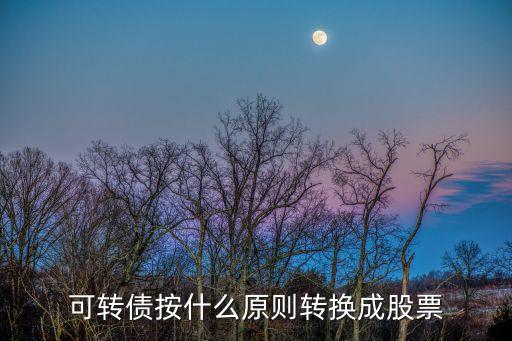 可转债按什么原则转换成股票