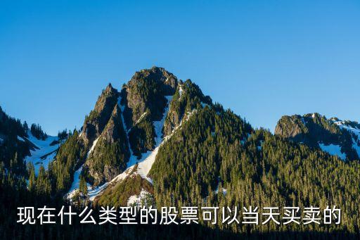 现在什么类型的股票可以当天买卖的