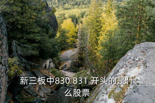 新三板中830 831 开头的是什么股票