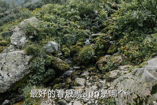 看股票什么软件，看股票的软件有哪些