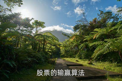 股票的输赢算法