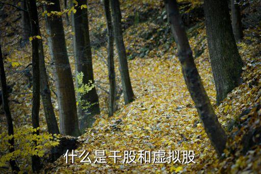 什么是干股和虚拟股
