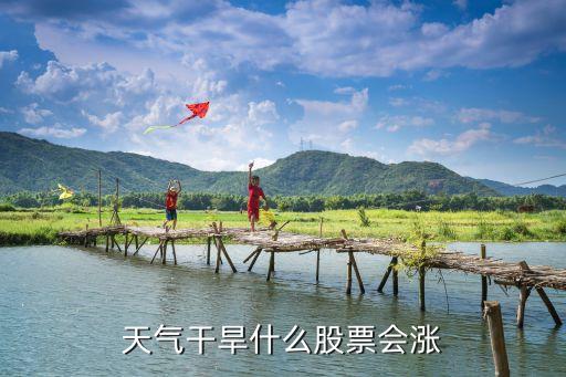 无夏之年什么股票会涨，什么股票短期会涨