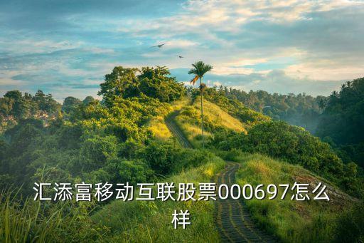 汇添富移动互联股票000697怎么样