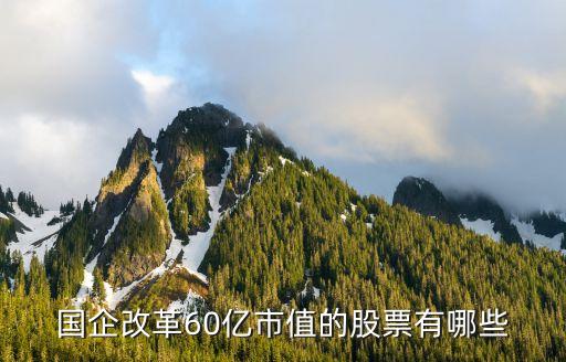60亿能买个什么企业股票，普通投资人可以买哪些股票如A股B股创业版股中小企业版
