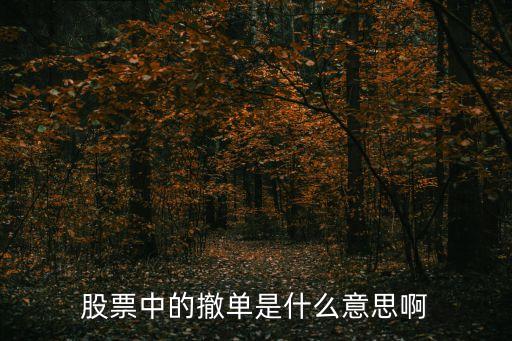 股票中的撤单是什么意思啊