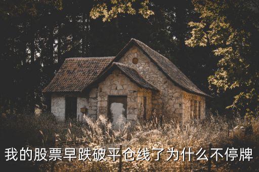 股票下跌为什么不被停牌，为什么有时候股票触及跌停价还没停市的