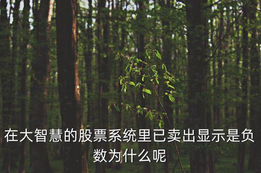 在大智慧的股票系统里已卖出显示是负数为什么呢