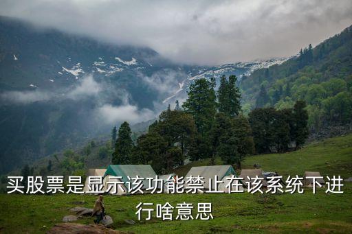 买股票是显示该功能禁止在该系统下进行啥意思