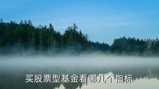 股票看a股基金看什么，买股票型基金看哪几个指标