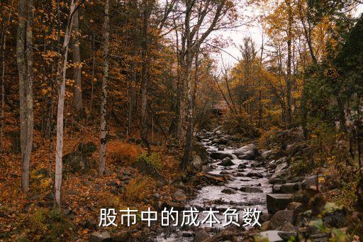 股市中的成本负数