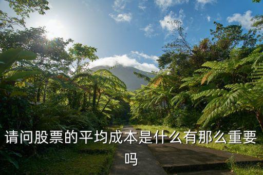 请问股票的平均成本是什么有那么重要吗