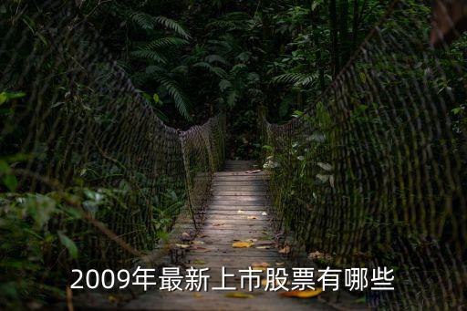 2009年最新上市股票有哪些