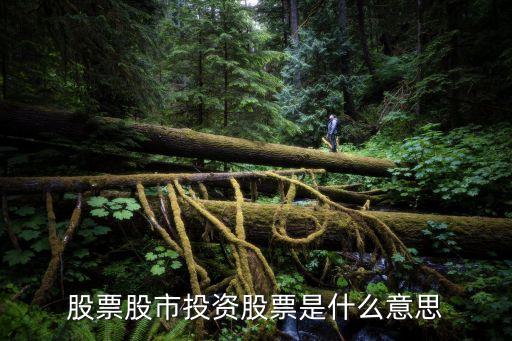 什么叫股票投资股票，什么叫股票如何投资股票