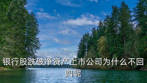 银行股跌破净资产上市公司为什么不回购呢