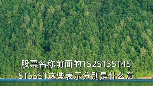股票名称前面的1S2ST3ST4SST5SST这些表示分别是什么意