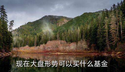 现在大盘形势可以买什么基金