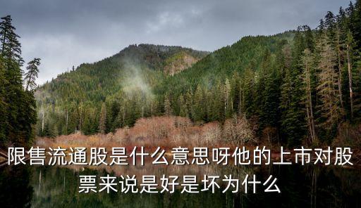 限售流通股是什么意思呀他的上市对股票来说是好是坏为什么