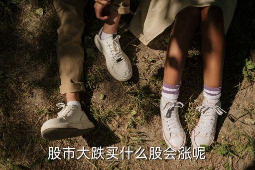 股市大跌买什么股会涨呢