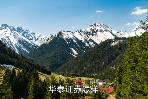 华泰证券怎样