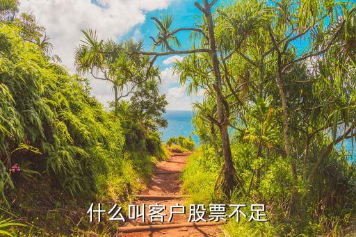 什么叫客户股票不足