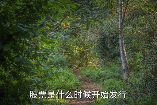 股票是什么时候开始发行