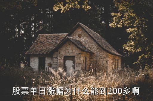 股票单日涨幅为什么能到200多啊