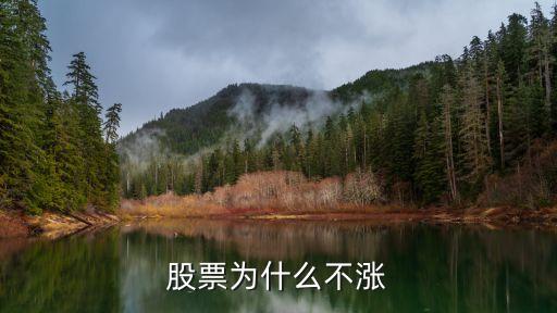 股票为什么不涨