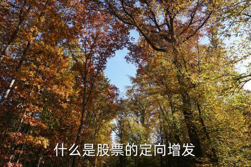 什么是股票的定向增发