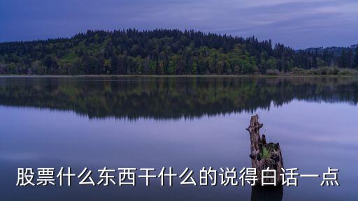 股票什么东西干什么的说得白话一点