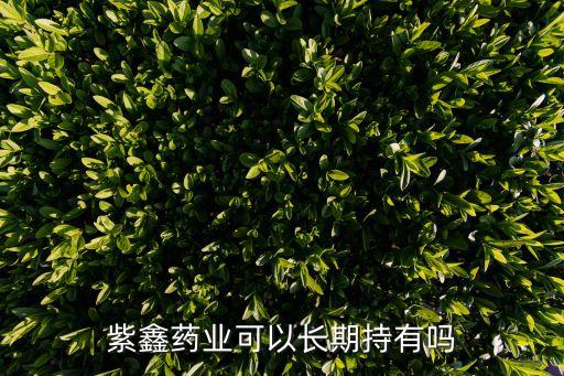 紫鑫药业可以长期持有吗
