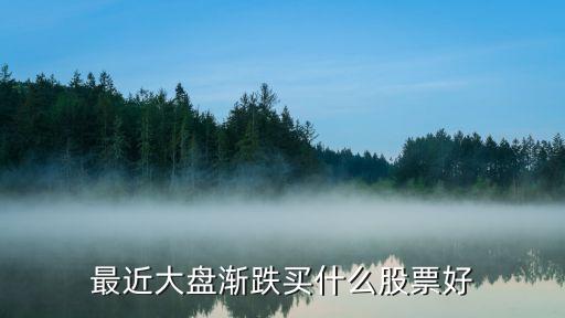 大盘回调应该买什么股票，目前大盘调整 买什么股票好呢