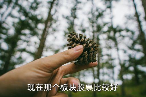 现在那个板块股票比较好