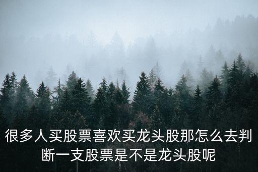 为什么买股票就要买龙头，为什么短线炒股一定要跟热门板块的龙头股而不是补涨的