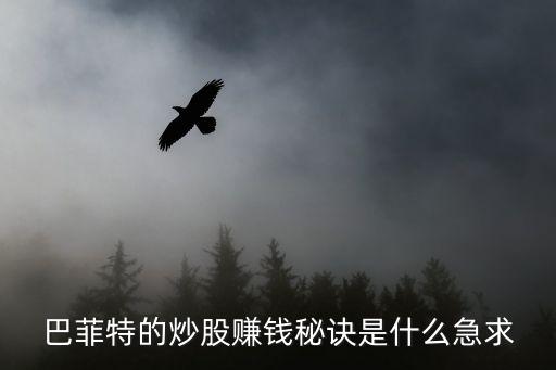 为什么巴菲特买股票赚钱，巴菲特为什么会成为股神