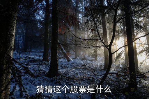 猜猜这个股票是什么