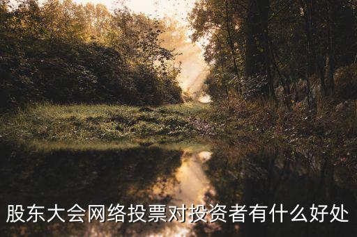 股票网络投票有什么作用，股东大会网络投票对投资者有什么好处