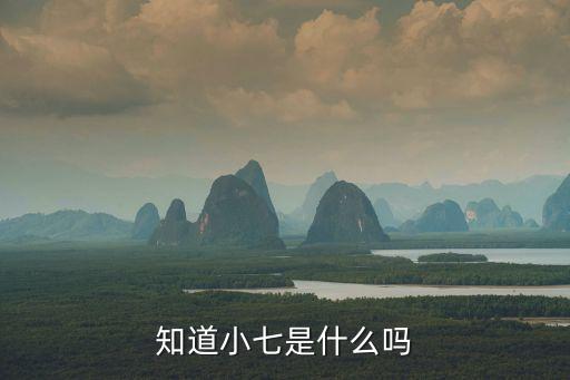 股票小七是什么意思，小1至小7的代指是什么意思