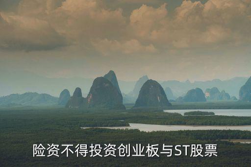险资不得投资创业板与ST股票